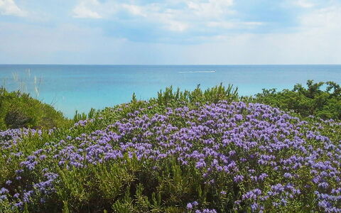 Villa la Rezza: Blau, Wasser, Gewässer, Blume, Horizont, Meer, Küsten Und Ozeanische Forms, Küste, Ozean, Strand