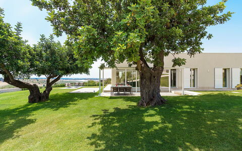 Green Hill: Zuhause, Schatten, Garten, Rasen, Estate, Landscaping, Garten, Park, Villa, Auffahrt