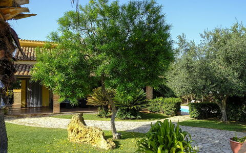 Villa Virna: Blatt, Strauch, Garten, Gehölz, Schatten, Hinterhof, Garten, Landscaping, Hof