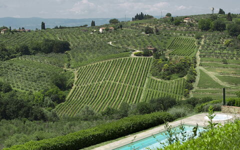 Villa Chianti: Plantage, Landwirtschaft, Landschaft, Strauch, Grundstueck, Ländliches Gebiet, Bergstation, Feld, Ground, Weinberg
