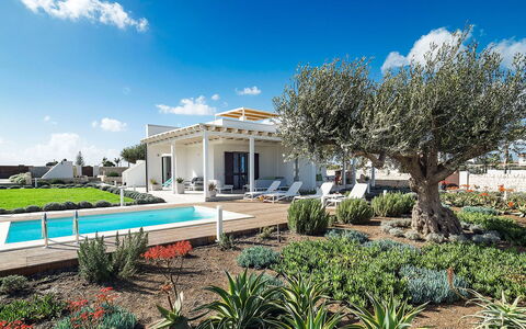 Rosemary: Zuhause, Estate, Garten, Landscaping, Schatten, Villa, Hazienda, Outdoor Struktur, Design, Bauernhaus