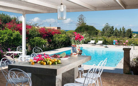 The Flower Garden: Möbel, Tabelle, Blumentopf, Gartenmöbel, Stuhl, Resort, Tisch Im Freien, Garten, Schwimmbad
