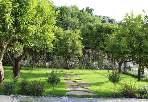 Mermaid Villa: Blatt, Strauch, Garten, Frühling, Gehölz, Rasen, Schatten, Garten, Hinterhof