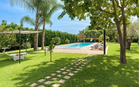 Villa Carosone: Schwimmbad, Garten, Schatten, Grundstueck, Resort, Rasen, Eco Hotel, Landscaping, Hinterhof