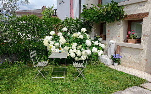 La Casetta dei Palù, Valdobbiadene: Blume, Strauch, Garten, Frühling, Blühende Pflanze, Hinterhof, Landscaping, Blumentopf, Garten, Rasen