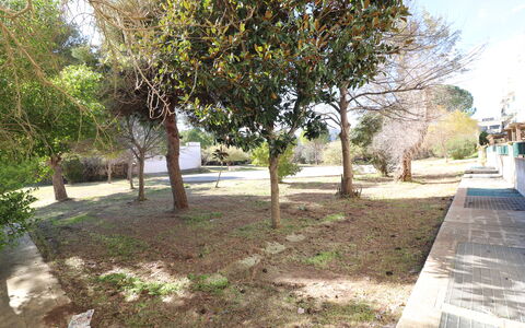 Noemi'S House in Otranto: Blatt, Ast, Kofferraum, Gehölz, Schatten, Garten, Boden, Landscaping, Garten, Walkway