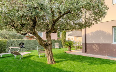 Riva del Garda 500: Garten, Rasen, Gehölz, Hinterhof, Schatten, Landscaping, Garten, Park