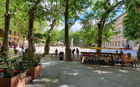 Casa Elena 13: Baum, Strassenbelag, Öffentlicher Raum, Nachbarschaft, Strasse, Schatten, Stadtplatz, Plaza, Gartenmöbel, Parkplatz