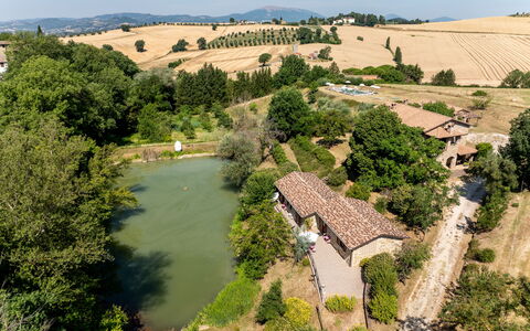 Il Giuncheto Apartments, Pool, Umbrian Countryside: Baum, Haus, Ländliches Gebiet, Landschaft, Zuhause, Grundstueck, Menschliche Siedlung, Hütte, Estate