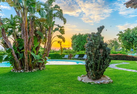 Villa Polistena: Blau, Grün, Gras, Strauch, Landschaft, Garten, Schwimmbad, Rasen, Resort