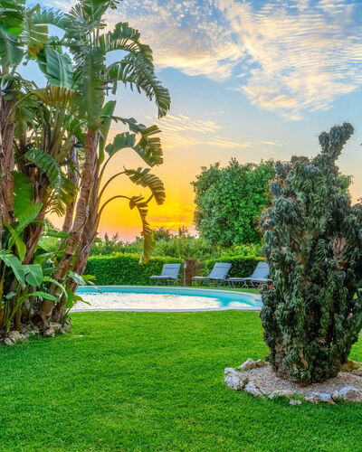 Villa Polistena: Blau, Grün, Gras, Strauch, Landschaft, Garten, Schwimmbad, Rasen, Resort