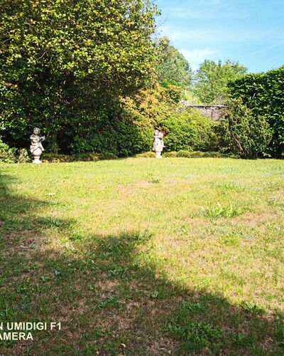 Bellavista Dimora Storica Vista Lago: Gras, Strauch, Garten, Grundstueck, Rasen, Hinterhof, Schatten, Garten, Landscaping