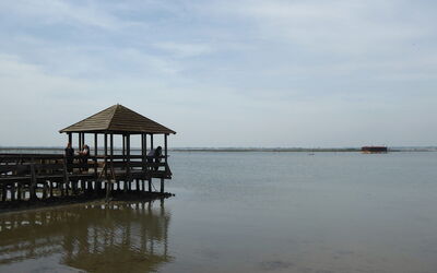 Villa Camerini, Nature, Bikes and Beaches