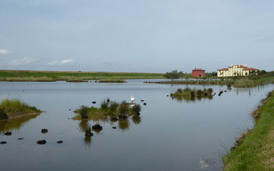 Villa Camerini, Nature, Bikes and Beaches