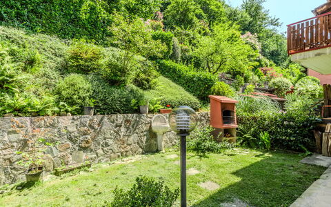 Lidia: Grün, Strauch, Garten, Pflanzengemeinschaft, Ground, Landscaping, Garten, Hinterhof, Botanischer Garten