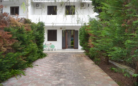Amanda: Garten, Garten, Hinterhof, Immergrün
