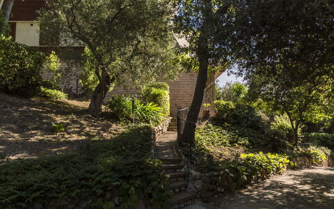 Villa Sole - Exclusive Villa al Conero con Piscina: Blatt, Ast, Natur, Vegetation, Strauch, Garten, Pflanzengemeinschaft, Landschaft, Zweig