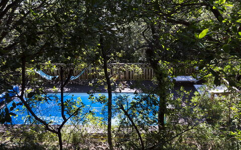 Villa Sole - Exclusive Villa al Conero con Piscina: Blau, Natur, Blatt, Ast, Schwimmbad, Schatten, Sonnenlicht, Zweig, Garten, Hinterhof