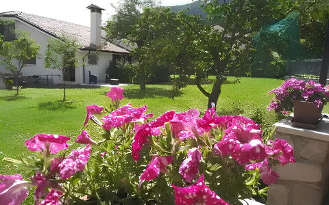 La Corte di Marga - Casa Gustet: Blume, Blütenblatt, Rosa, Strauch, Garten, Frühling, Ground, Blühende Pflanze, Lila
