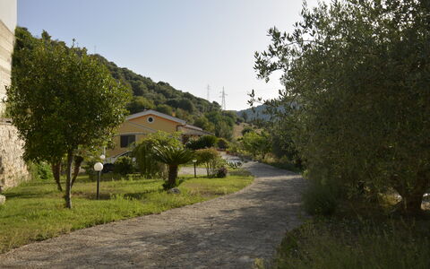 Villa del Monte: Vegetation, Landschaft, Strauch, Ländliches Gebiet, Auffahrt, Bergdorf, Weg, Walkway, Pfad