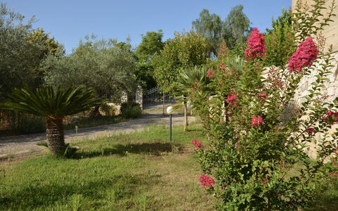 Villa del Monte: Blume, Strauch, Garten, Rosa, Frühling, Blühende Pflanze, Landscaping, Botanischer Garten, Garten