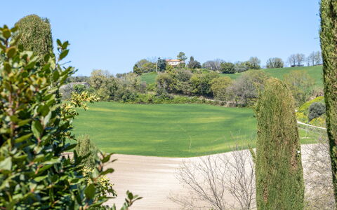 Serafini Holiday Home: Grün, Strauch, Wiese, Landschaft, Grundstueck, Einfach, Garten, Wiese, Rasen, Weide
