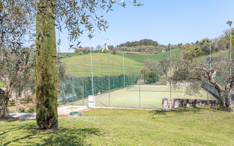Serafini Holiday Home: Baum, Grundstueck, Tennisplatz, Rasen, Garten, Schatten, Landscaping, Park, Zaun