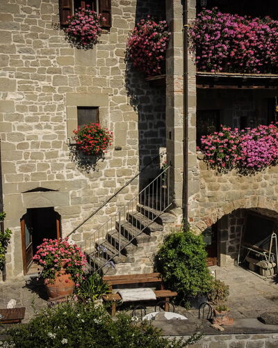 Agriturismo Arcera: Blumentopf, Zimmerpflanze, Floristik, Garten, Hof, Garten, Blumendesign, Hazienda