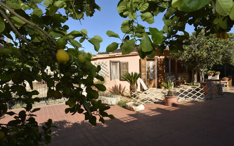 Ranch Salomonello: Strauch, Blumentopf, Garten, Schatten, Zimmerpflanze, Garten, Hinterhof, Landscaping, Stuhl