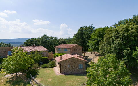 Casa Stella Serena, Podere le Scopaie, Pool: Baum, Ländliches Gebiet, Grundstueck, Hütte, Estate, Erholung, Dorf, Wiese, Bauernhaus, Park