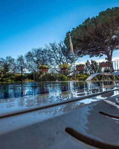 Tenuta Renna