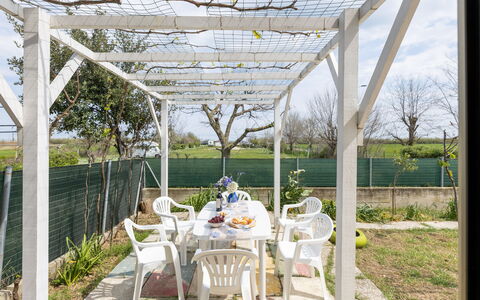 Casa di Lilia: Schatten, Garten, Outdoor Struktur, Pergola, Landscaping, Hinterhof, Garten, Überdachung, Daylighting, Gartenbauten
