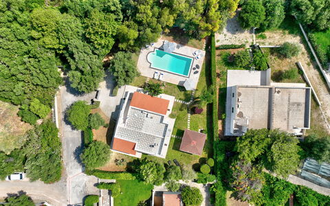 Villa Margherita: Schwimmbad, Baum, Wohngebiet, Vogelperspektive, Landschaft, Luftaufnahmen, Haus, Zuhause, Estate, Urban Design