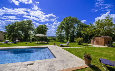 Gli Ulivi: Baum, Schwimmbad, Garten, Schatten, Landscaping, Rasen, Estate, Hinterhof, Garten, Design
