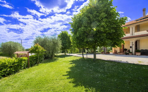 Gli Ulivi: Blau, Baum, Gras, Strauch, Grundstueck, Garten, Rasen, Frühling, Schatten, Wiese