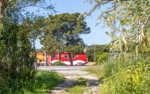 Casale Oleandro Marino: Baum, Rot, Strauch, Grundstueck, Schatten, Landscaping, Auffahrt