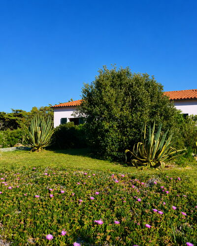 Villa Vignola: Blume, Vegetation, Strauch, Garten, Pflanzengemeinschaft, Ground, Wiese, Landscaping, Krautige Pflanze
