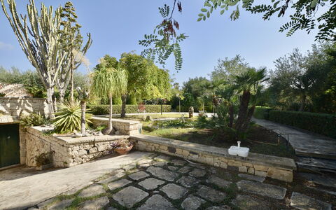 Villa Lina: Baum, Vegetation, Strauch, Garten, Flagstone, Walkway, Gehölz, Landscaping, Schatten, Botanischer Garten