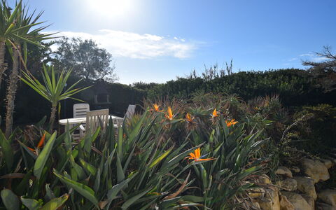 Punta Braccetto Fronte Mare: Garten, Landscaping, Botanischer Garten