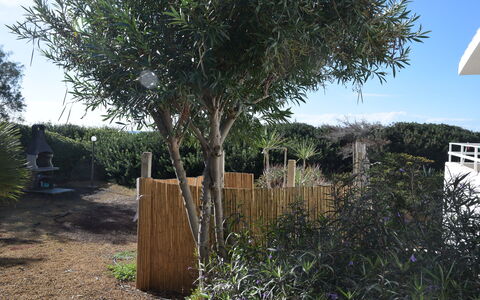 Punta Braccetto Fronte Mare: Strauch, Gehölz, Garten, Landscaping, Garten, Hinterhof, Zaun