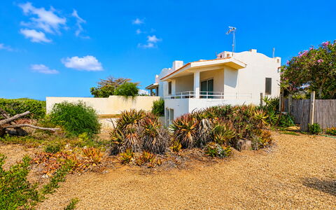 Punta Braccetto Fronte Mare: Himmel, Blau, Grün, Vegetation, Strauch, Sommer, Pflanzengemeinschaft, Shrubland, Landscaping