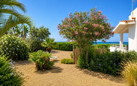 Punta Braccetto Fronte Mare: Blume, Grün, Strauch, Garten, Pflanzengemeinschaft, Ground, Landscaping, Walkway, Botanischer Garten