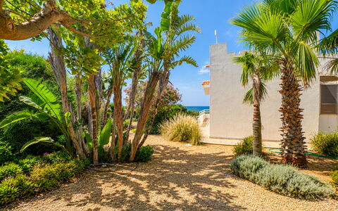 Punta Braccetto Fronte Mare: Grün, Vegetation, Strauch, Landschaft, Garten, Landscaping, Walkway, Schatten