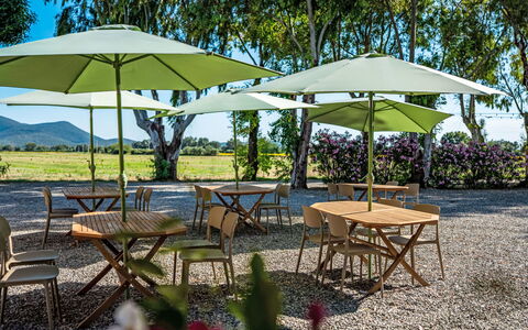 Grosseto 830: Möbel, Regenschirm, Gartenmöbel, Tisch Im Freien, Tabelle, Schatten, Stuhl, Garten, Küche & Esszimmer Tisch, Rasen