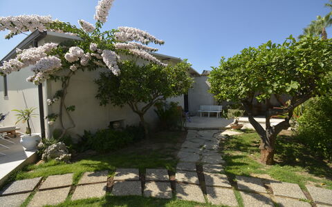 Villa Benvenuti al Sud: Garten, Schatten, Hinterhof, Landscaping, Garten, Flagstone, Walkway, Hof, Outdoor Struktur