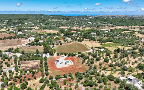 Tenuta Emma: Baum, Vogelperspektive, Luftaufnahmen, Landschaft, Einfach, Wohngebiet, Grundstueck, Feld, Vorort, Dorf