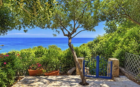 Porto Luna 1: Blau, Grün, Meer, Küsten Und Ozeanische Forms, Ozean, Küste, Tropen, Schatten, Garten, Ufer