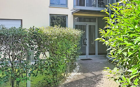Nala: Strauch, Urban Design, Garten, Hecke, Schatten, Garten, Landscaping, Hinterhof, Hof