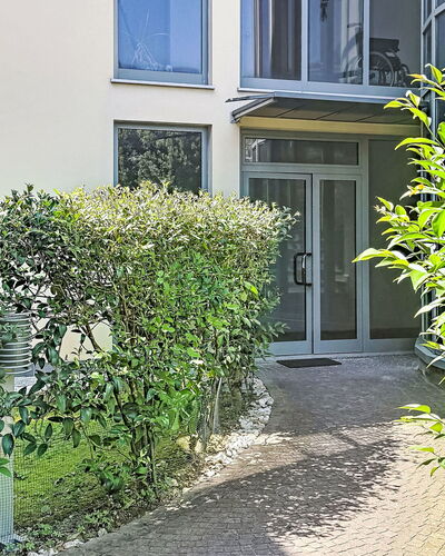 Nala: Strauch, Urban Design, Garten, Hecke, Schatten, Garten, Landscaping, Hinterhof, Hof