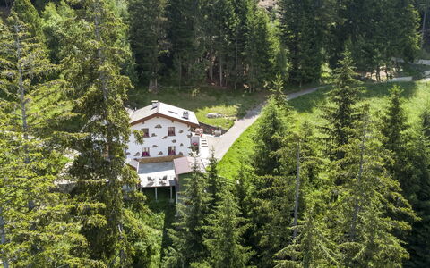 Chalet Ralon: Baum, Wald, Lärche, Hütte, Bergstation, Immergrün, Tropische Und Subtropische Koniferenwald, Bergdorf